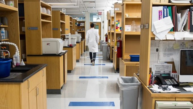 Back of man walking in lab