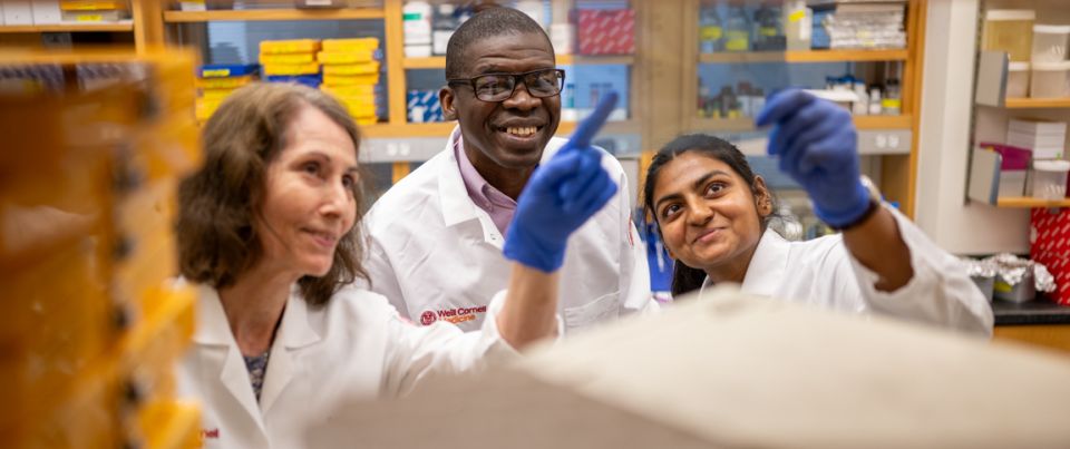 Researchers examining slide.